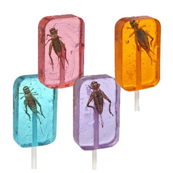 Hotlix Cricket Sucker